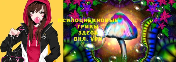 ГАЛЛЮЦИНОГЕННЫЕ ГРИБЫ Алзамай