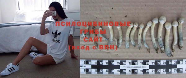 ГАЛЛЮЦИНОГЕННЫЕ ГРИБЫ Алзамай