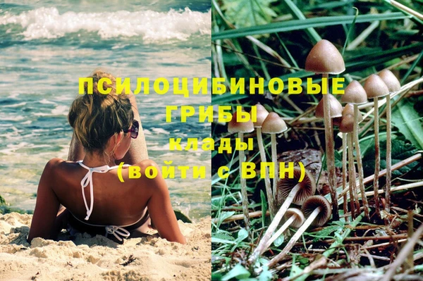 крисы Алексин