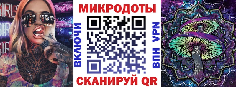 где купить наркоту Новоузенск блэк спрут ссылки Псилоцибиновые грибы Psilocybe